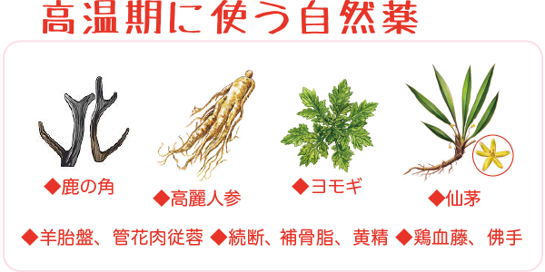 高温期