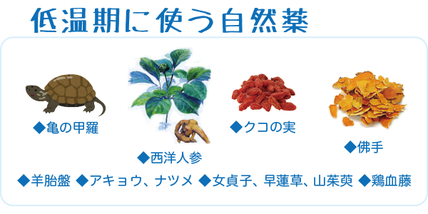 低温期